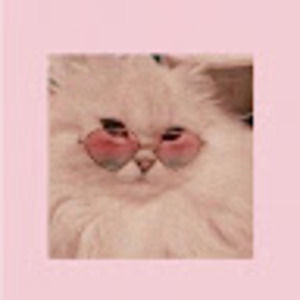 Meet your Posher, Emmalyn